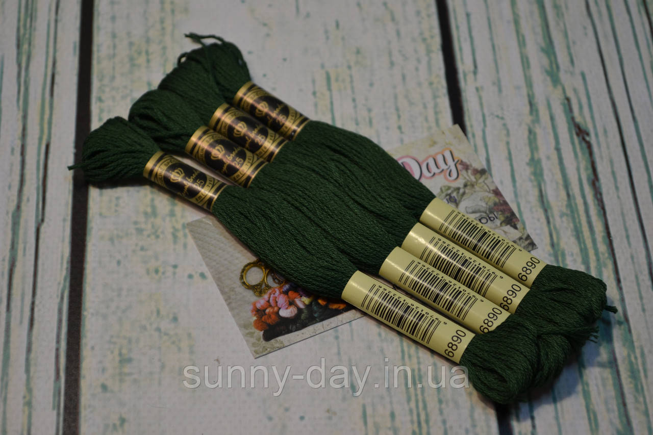 Муліне Royal Broderie, колір No890