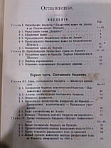 Книга Бюджет, автор Ренэ Штурм 1907 рік, фото 2