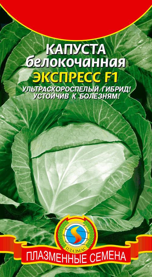 Насіння капусти білочане Експрес ультрашвидкісне F1 0.2 г