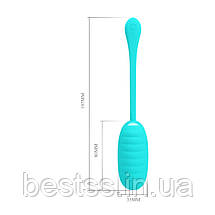 Pretty Love Kirk Vibrating Egg Mint, фото 3