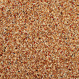 Padovan Naturalmix Cocorite 1кг, фото 4