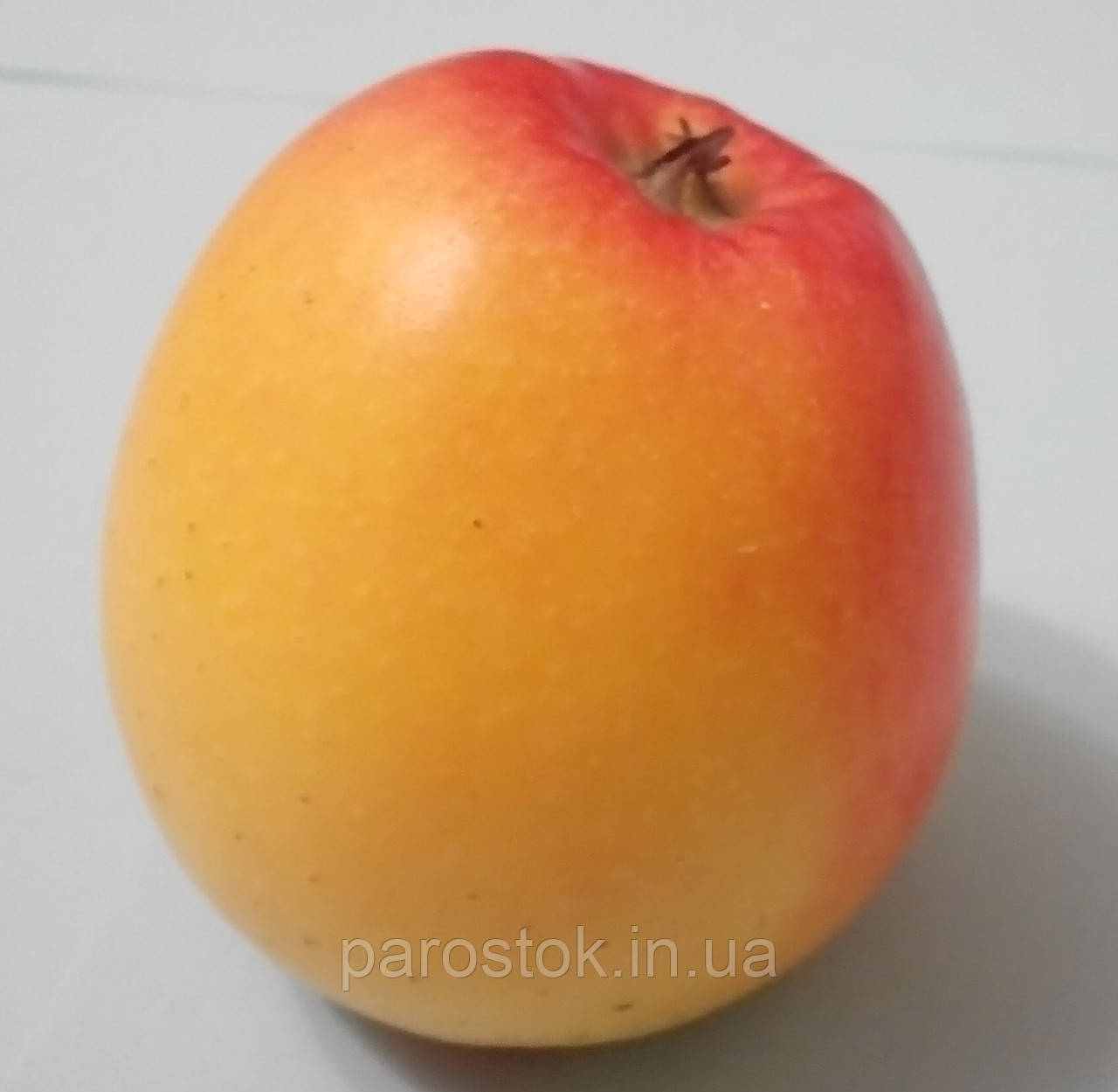 Яблуня Канзі. (ММ106). Зимовий сорт. Однорічний, фото 1