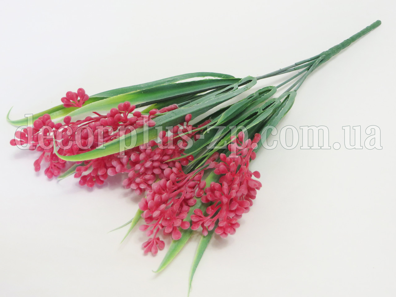 Юка квітуча, червона, фото 1