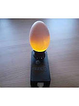 Овоскопом для перевірки яєць "Сяйво"ОВ-1 світлодіодний