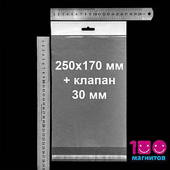 Поліпропіленові пакети 250х170 мм з європідвісом і клапаном. Розмір А5. Уп. 100 шт