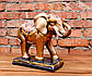Слон індійський статуетка декор бронза h24 см гіпс, фото 3