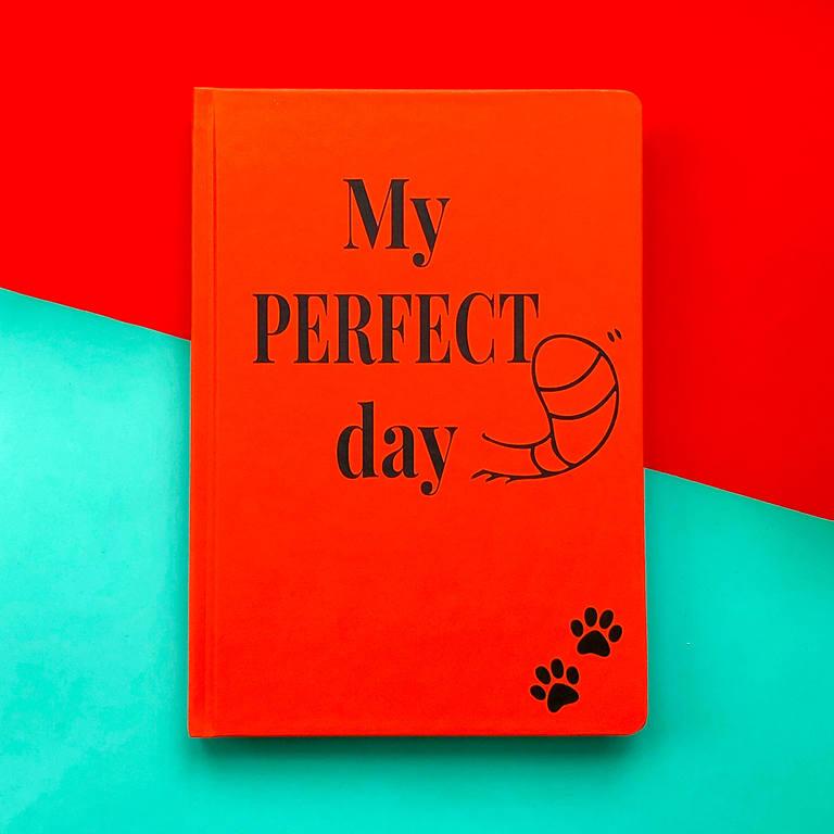 Блокнот с котом Хвост и Усы Diary My perfect day LifeFLUX А5 Красный Украинский язык - фото 1 - id-p1112242880