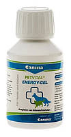Petvital Energy Gel 100ml (для швидкого відновлення)