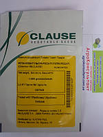 Насіння томата П'єтра Росса F1 (Clause), 1 000 насінин — середньоранній (115-120 днів), детермінантний