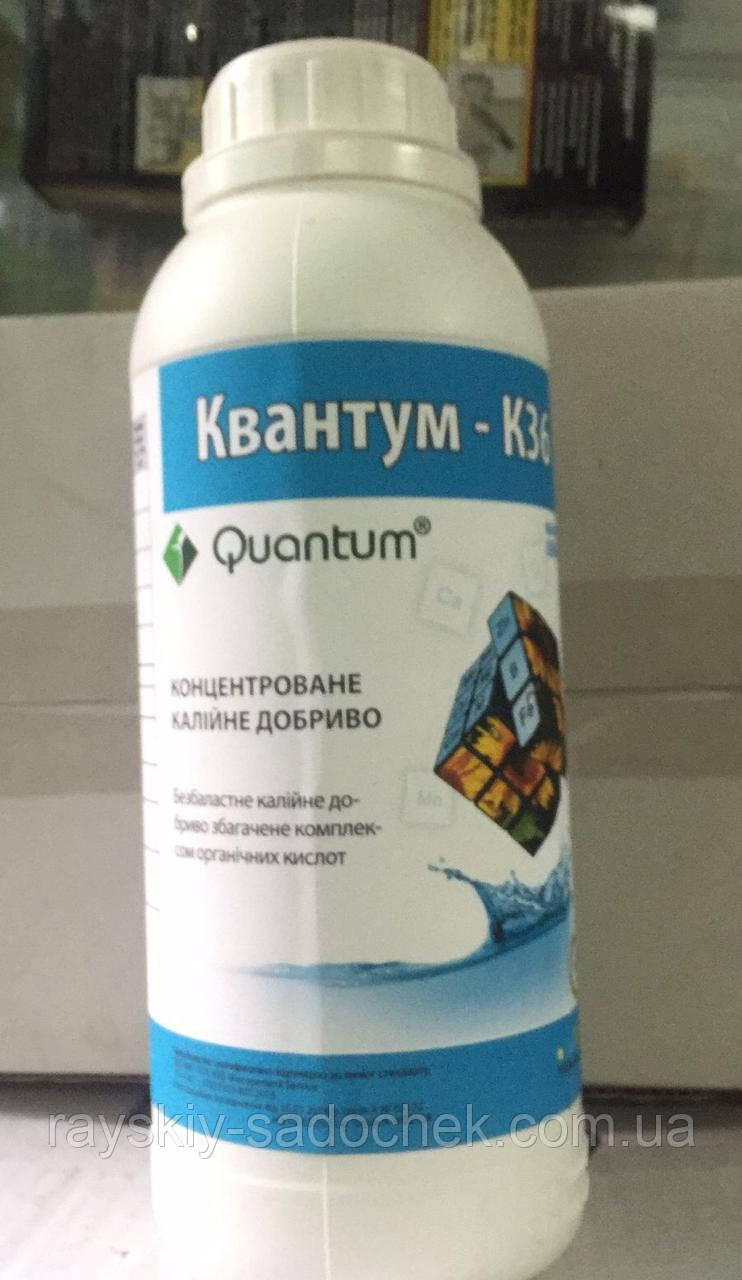 Квантум - К36 1л, фото 1