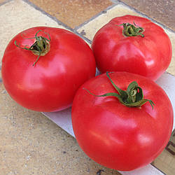 Томат Афен F1 50 насінин