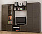 Стінка Конго Венге + Дуб самоа Меблі Сервіс (300х52.5х203.5 см), фото 8