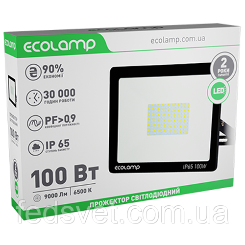Світлодіодний прожектор ECOLAMP 100W 9000lm 6500K IP65