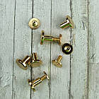 Болти поліграфічні, кріплення для кільцевого механізму М4 Золото 6мм 2шт (BLT003), фото 2