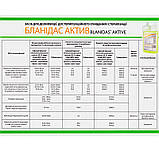 Бланидас Актив концентрований засіб для дезінфекції та стерилізації, саші 10 мл, фото 3