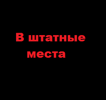 В штатні місця