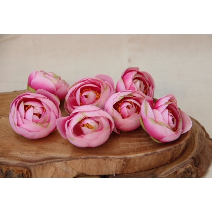 Ранункулюс бутон, рожевий із малиновим 100 шт.