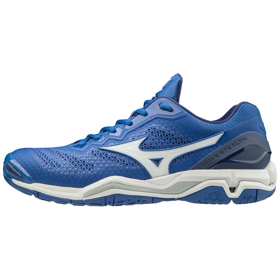 Гандбольні кросівки Mizuno Wave Stealth V X1GA1800-06