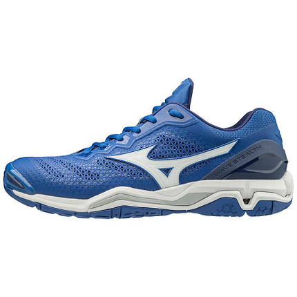 Гандбольні кросівки Mizuno Wave Stealth V X1GA1800-06, фото 1