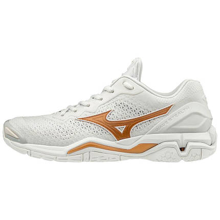 Гандбольні кросівки Mizuno Wave Stealth V (W) X1GB1800-52, фото 1
