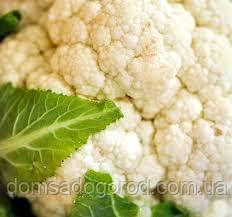 Капуста цвітна КОРЛАНУ F1 Syngenta 2500 шт.