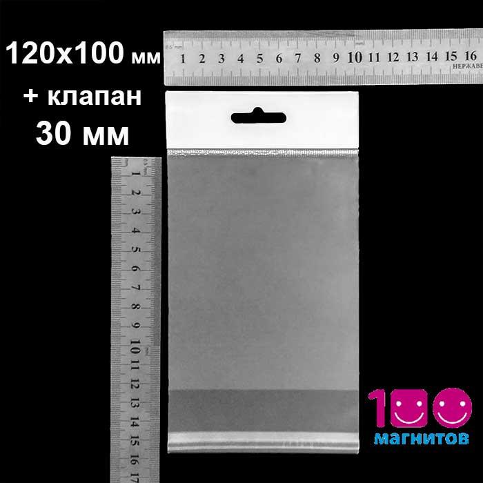 Пакет 120х100 мм с еврослотом, клапаном и клейкой лентой пп. Уп. 100 шт - фото 1 - id-p1110515116