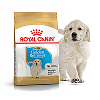 Сухой корм Royal Canin Golden Retriever Puppy (Junior) 3кг