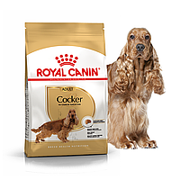 Сухий корм Royal Canin Cocker Adult 3 кг