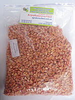 Семена кукурузы Мегатон F1 (Harris Moran), 5000 семян ранняя (85 дней), суперсладкая/