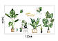 3D інтер'єрні вінілові наклейки на стіни Набір Кактусів — рослин 2 аркуші 65-40 см у дитячу No3.Обої, фото 8