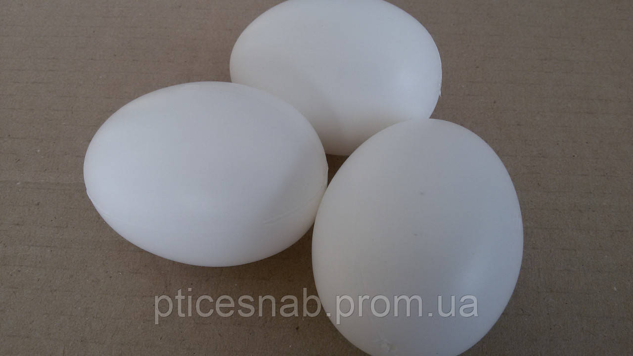 Яйца - муляжи для кур и уток - фото 4 - id-p1113224448
