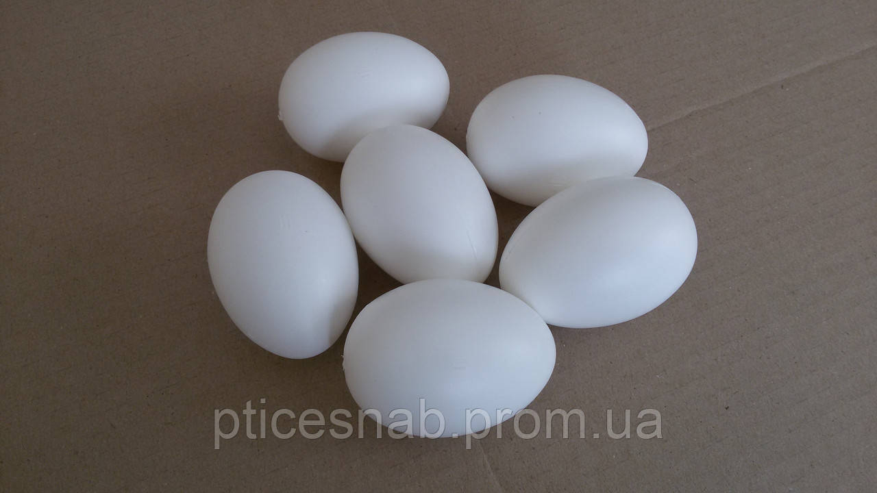 Яйца - муляжи для кур и уток - фото 1 - id-p1113224448