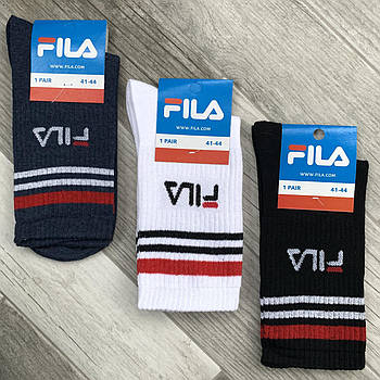 Шкарпетки чоловічі демісезонні х/б спортивні Fila, Athletic Sports, високі, асорті, 04596