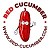 RED CUCUMBER