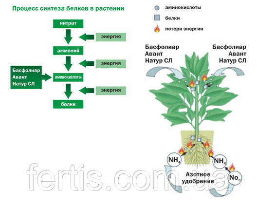 Добриво БАСФОЛІАР АВАНТ НАТУР СЛ (Basfoliar® Avant Natur SL) COMPO EXPERT, 10 л., фото 2