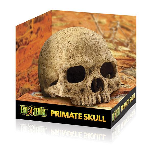 Декорація Exo Terra Primate Skull