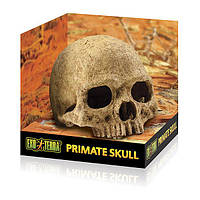 Декорация Exo Terra Primate Skull