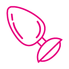 Анальні пробки