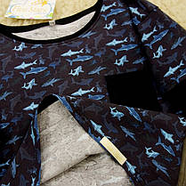 Реглан для хлопчика акули Five Stars KX0285-116p, фото 4