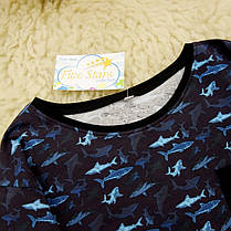 Реглан для хлопчика акули Five Stars KX0285-116p, фото 5