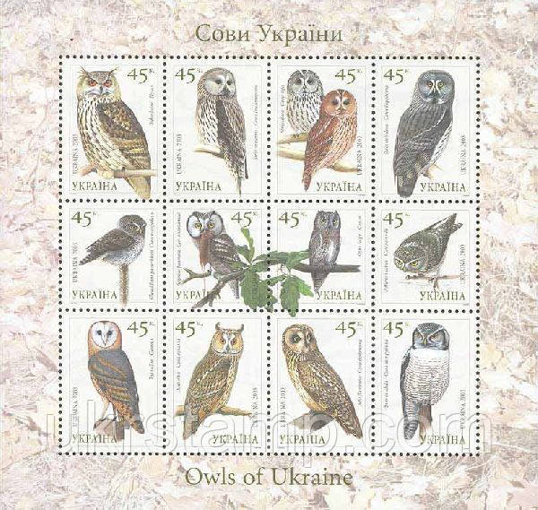 Фауна , Сови
