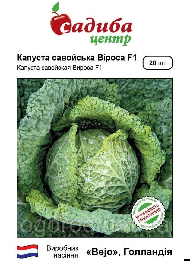 Віроса 20 шт насіння савойської капусти Bejo Голландія