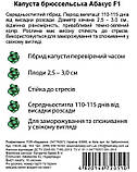 Абакус 10 шт. насіння брюсельської капусти Syngenta Голландія, фото 4