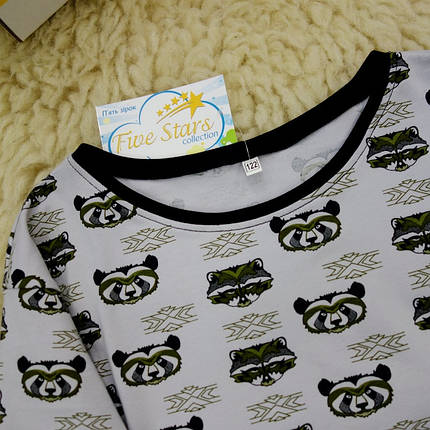 Реглан для хлопчика єнот Five Stars KX0286-122p, фото 2