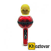 Микрофон DM Karaoke WS 878