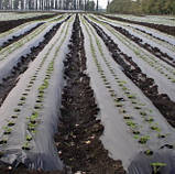 Плівка сіра 60 мкм. (будівельна 3 м х 100 м), фото 3