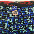Труси чоловічі боксери ІНСАН букви сині 46 розмір L, фото 3