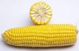 Насіння Кукурудзи ДОБРИНЯ F1 25 000 насінин (солодка), фото 1