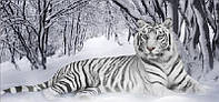 Алмазна вишивка "Білий Тигр Взимку " повна викладка,мозаїка 5d, набори 90х45 см