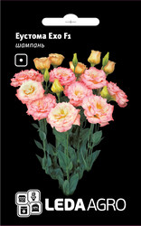 Насіння Еустоми Ехо F1, 5 шт., шампань